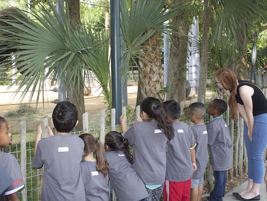 A Vocabulary-Building Trip to the Zoo